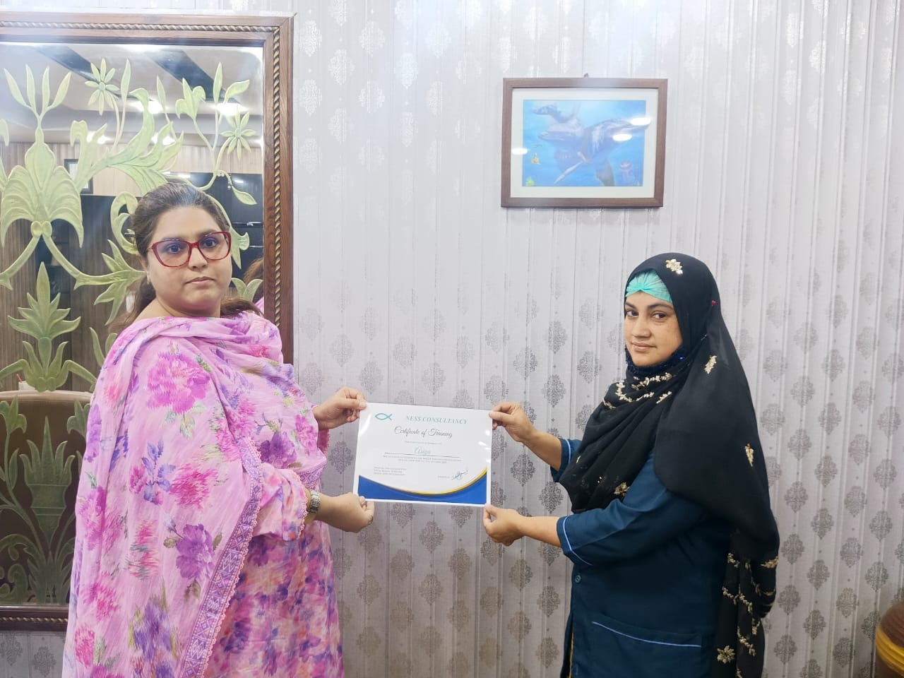 NESS Consultancy training and certification activity