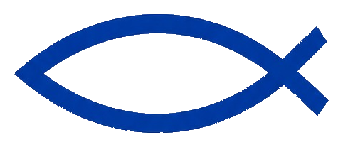 NESS Consultancy